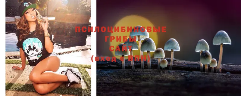 Галлюциногенные грибы MAGIC MUSHROOMS  Микунь 